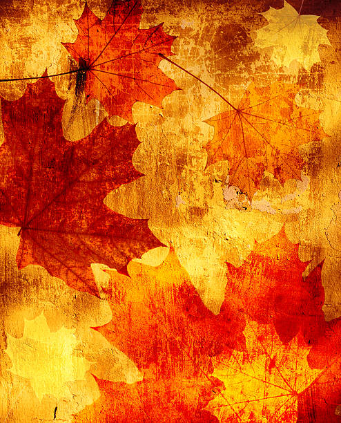 istock Grunge background with autumn leaves 187220642