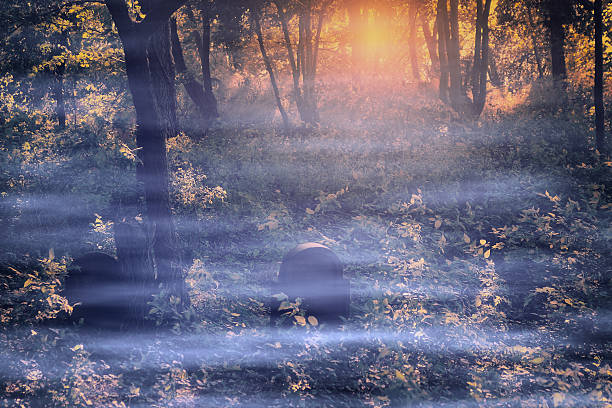 istock Spooky cemetery in the forest 187220781