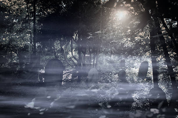 istock Spooky cemetery in the forest 187220785