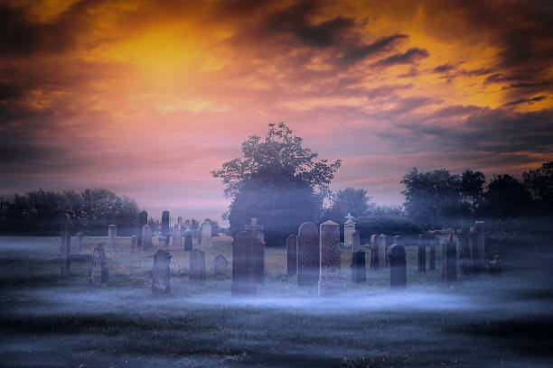 istock Spooky cemetery in the forest 187221311