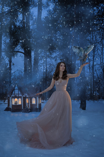 Beautiful woman with owls and little house in winter