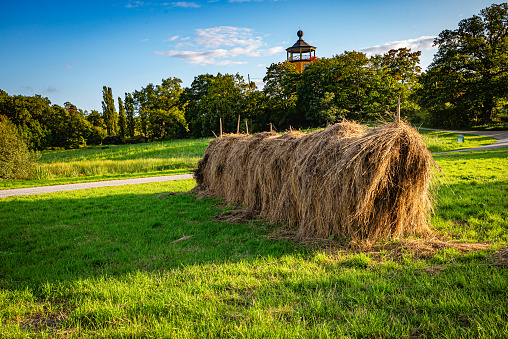 Haystack in the old fashion way