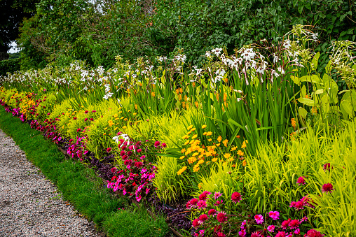 Flowers as decoration in the garden