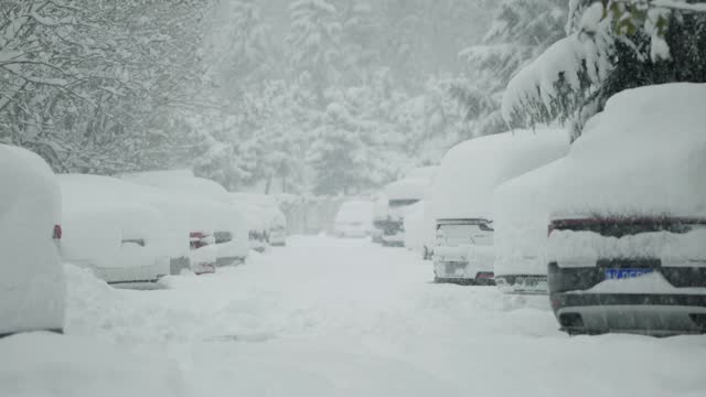 Heavily snowbound cars are standing fixedly in the snow in the yard of the house