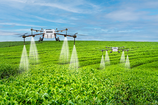 Drones equipped with spray nozzles distribute water or nutrients over a vibrant green crop field, showcasing advanced farming techniques.