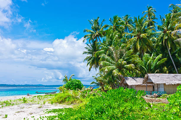 istock Tropical island landscape with huts 187222935
