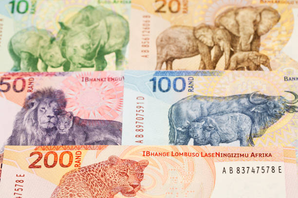 istock South African rand a business background 1872238522