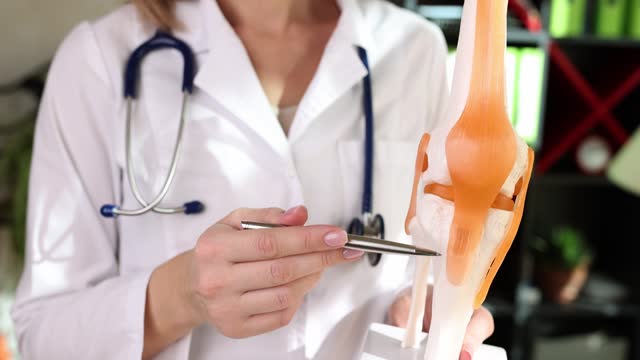 The doctor shows the model of the human knee, close-up