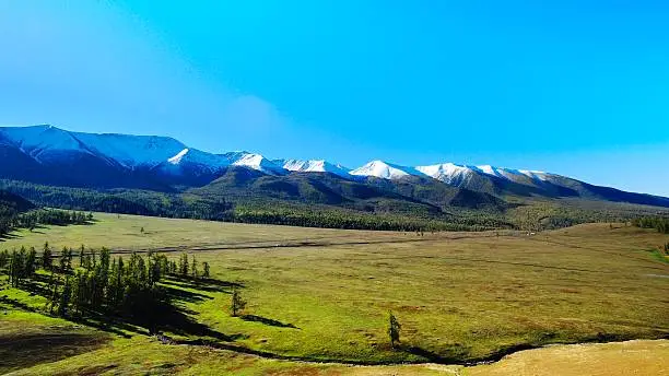 Snow mountain,forest and pasture.