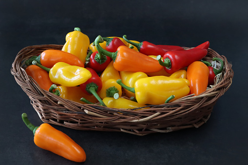 Stock photo showing close-up view of a wicker basket piled high with  mini red, orange and yellow bell peppers (Capsicum annuum) against a black background.