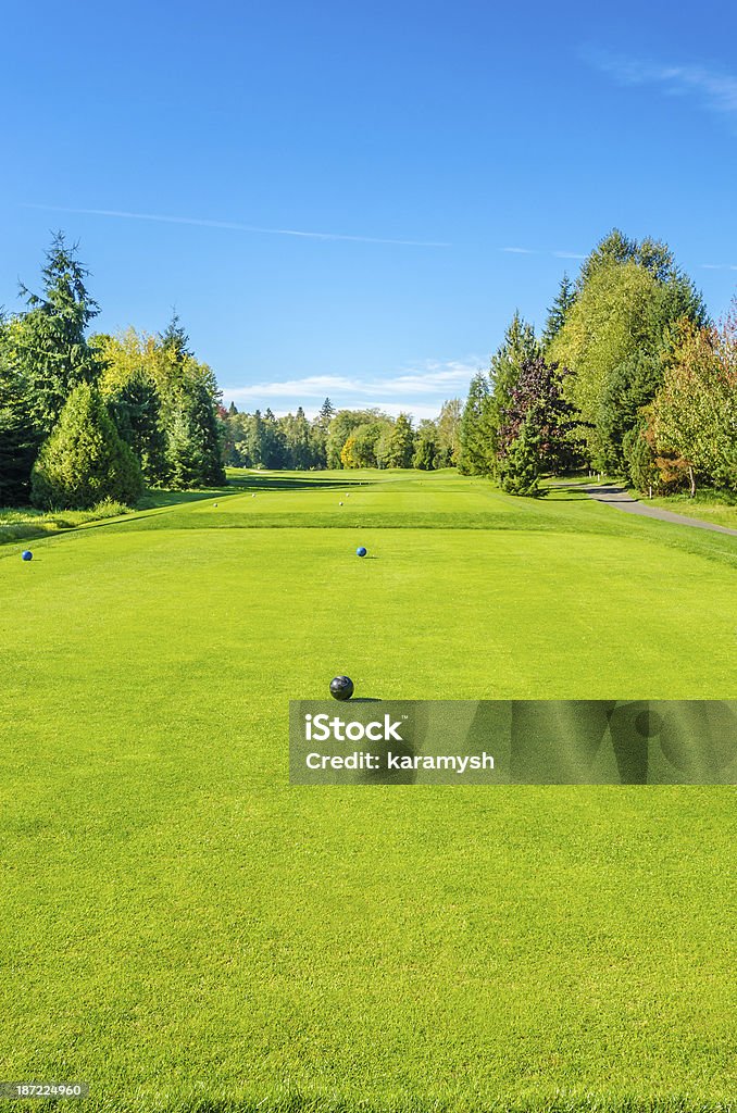 Goulf Golfplatz - Lizenzfrei Einlochen - Golf Stock-Foto