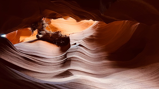 Upper Antelope Canyon (Tree motive)

Page_ Arizona/Utah_ United States