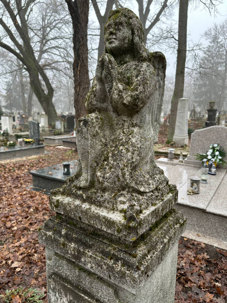 istock Angel statue on a grave in the public cemetery 1872251879