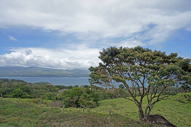 istock wonderful costa rica 187225428