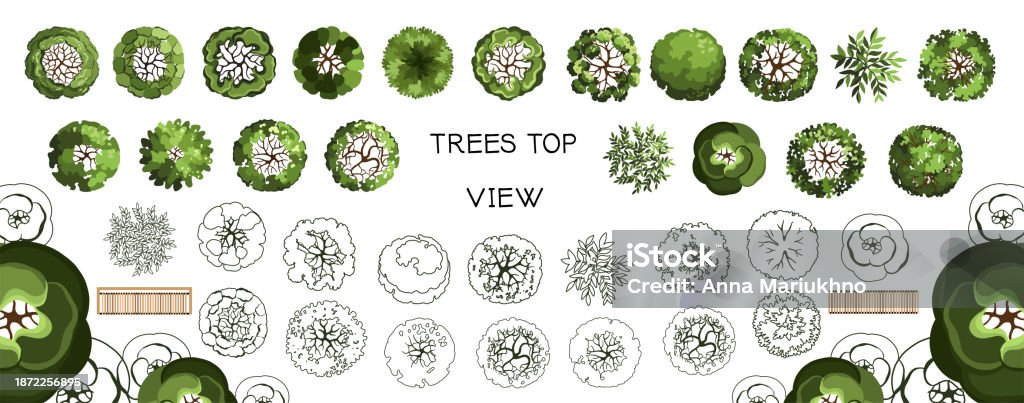 Treeplan Abstract Urban Design Group Of Trees For Architectural Floor Plans Entourage Design Various ...