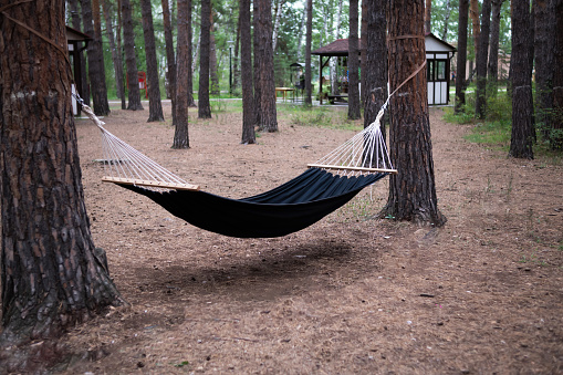 An empty hammock in the woods