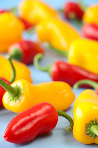 Stock photo showing close-up view of blue background with a small group of red and yellow mini peppers (Capsicum annuum), with green stems.