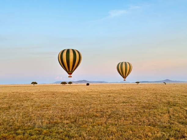 istock Hot air balloons at sunrise 1872279709