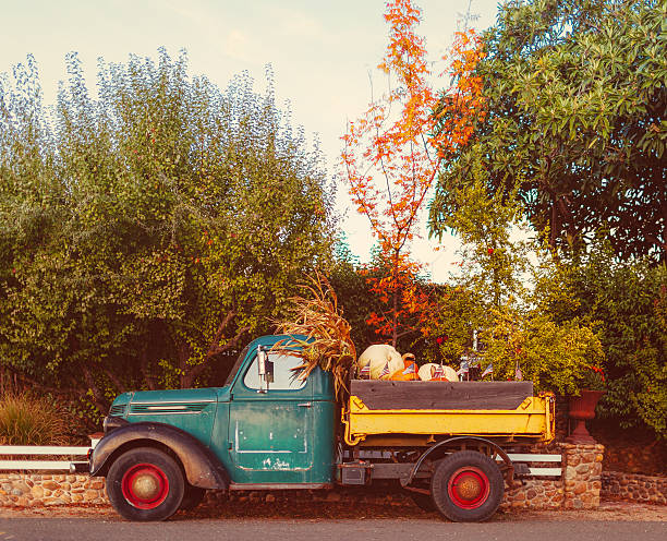 vintage truck parked on road in napa valley - california