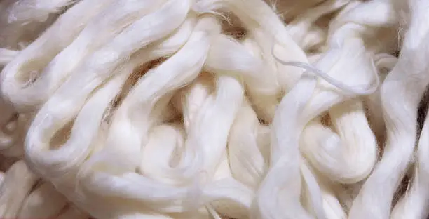 Background of white natural silk fibres for spinning and weaving
