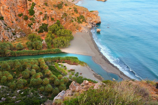 Crete, Greece - palm tree grove of Preveli beach. Southern Crete.