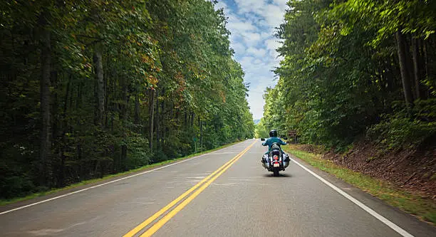 Long road ahead surrounded by lush trees.