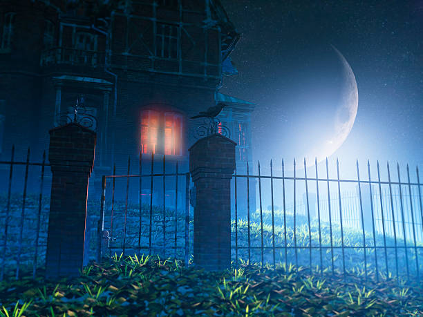 istock Spooky haunted house at night 187230925