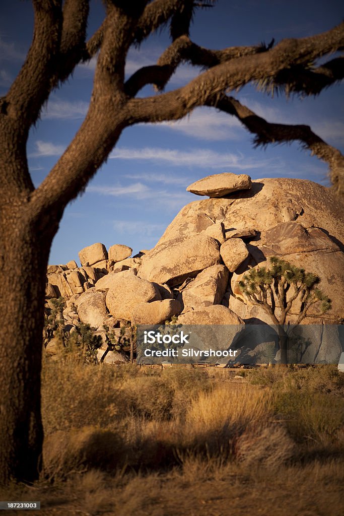 Cap Rock w zachód słońca w Park Narodowy Joshua Tree - Zbiór zdjęć royalty-free (Aranżacja)