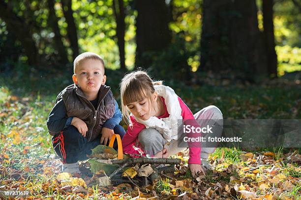 Foto de Pequenos Na Natureza e mais fotos de stock de Floresta - Floresta, Outono, Piquenique