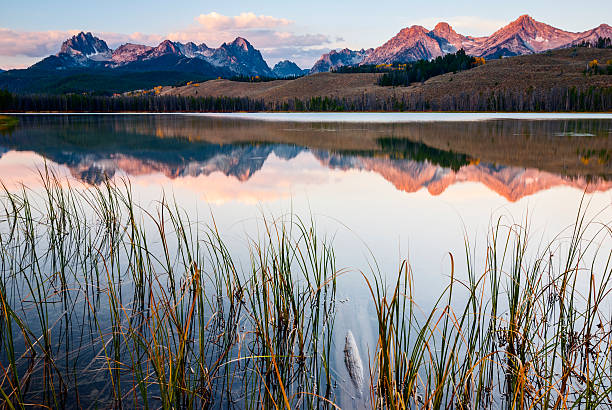 istock Sawtooth sunrise, Stanley, Idaho 187232390
