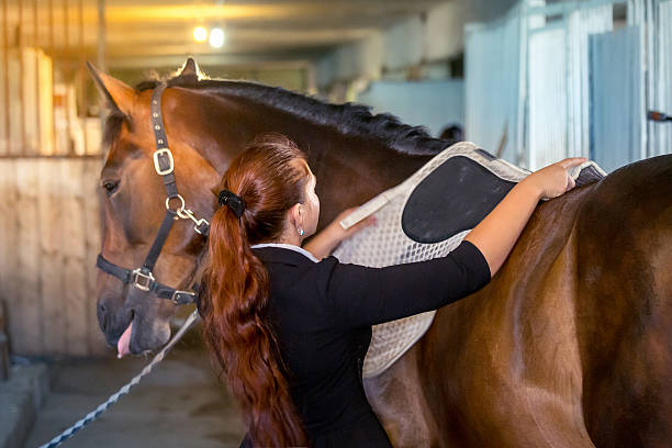 istock Woman prepare horse for riding 187233654
