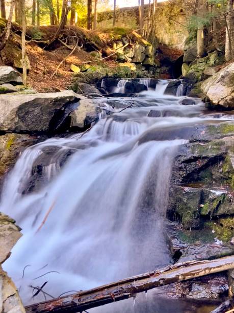 istock Long exposure in Gatineau Park. 1872341410