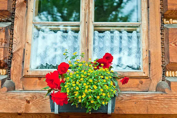 A flowerbox hangs in front of an old window, Europe.
