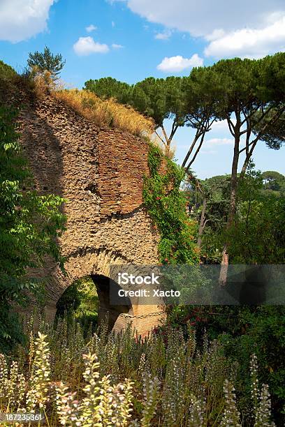 Colina Del Palatino Roma Foto de stock y más banco de imágenes de Aire libre - Aire libre, Antiguo, Arco - Característica arquitectónica