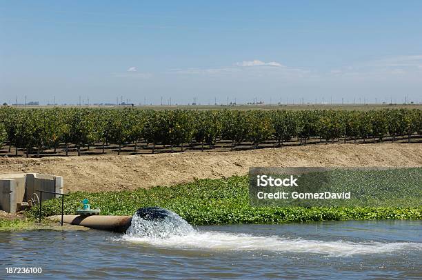 Fattoria Di Irrigazione Acqua Pompato Al Canale - Fotografie stock e altre immagini di Acqua - Acqua, Acqua fluente, Agricoltura