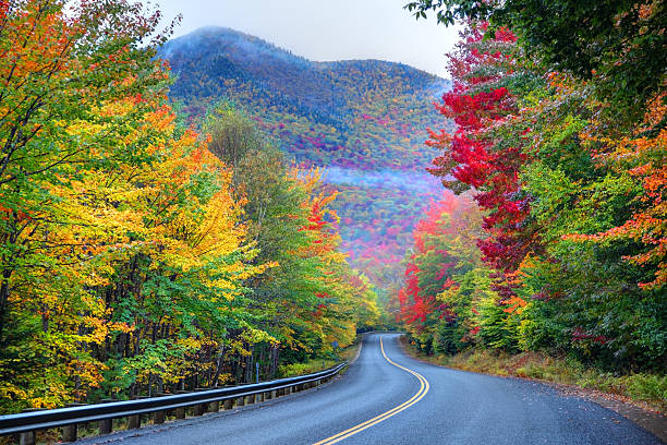 istock Autumn Road in New Hampshire 187236182