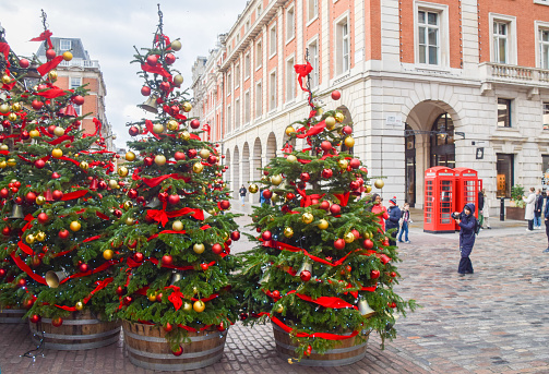 London, UK - December 21 2023: Christmas trees at Covent Garden Market