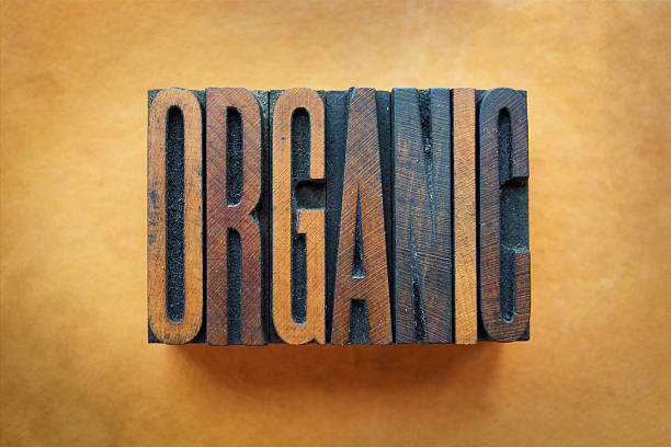 orgânico - organic single word environment block imagens e fotografias de stock