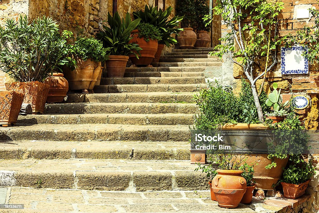 Stary schodach ze szczelną obudowę roślin, Pienza, Val d'Orcia, Toskania, Włochy - Zbiór zdjęć royalty-free (Antyczny)