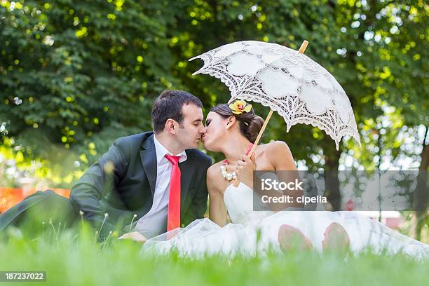 Noiva E Noivo - Fotografias de stock e mais imagens de Abraçar - Abraçar, Adulto, Amor