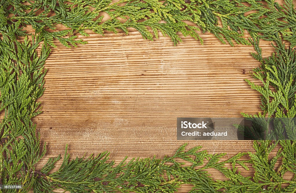 Pine Dekoration - Lizenzfrei Ast - Pflanzenbestandteil Stock-Foto