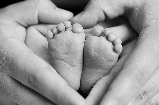 Newborn bliss: A heartwarming black and white photograph of tiny feet cradled in loving hands, symbolizing the purest form of love and protection.