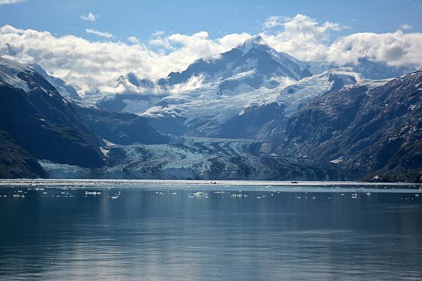 istock Johns Hopkins Glacier 187238368