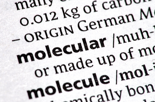 close up photo of the word molecular