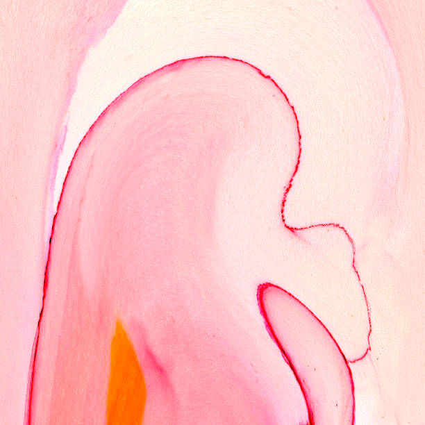 Natural abstract fluid art painting in alcohol ink technique. Soft dreamy colors create transparent wavy lines.