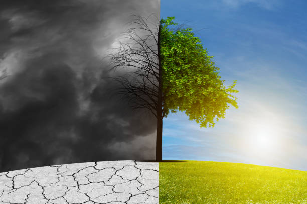 istock Contrasting Climate Change Concept with Dead and Flourishing Tree 1872402216