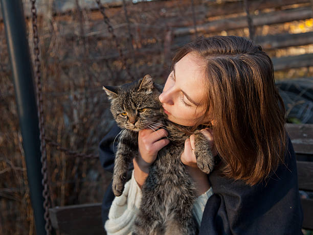 istock defocused gray cat in the hands 187240747