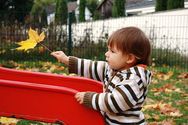 istock little boy on the playground 187241210