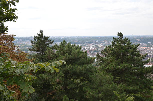 istock Roofs of city Lviv with trees 187241243
