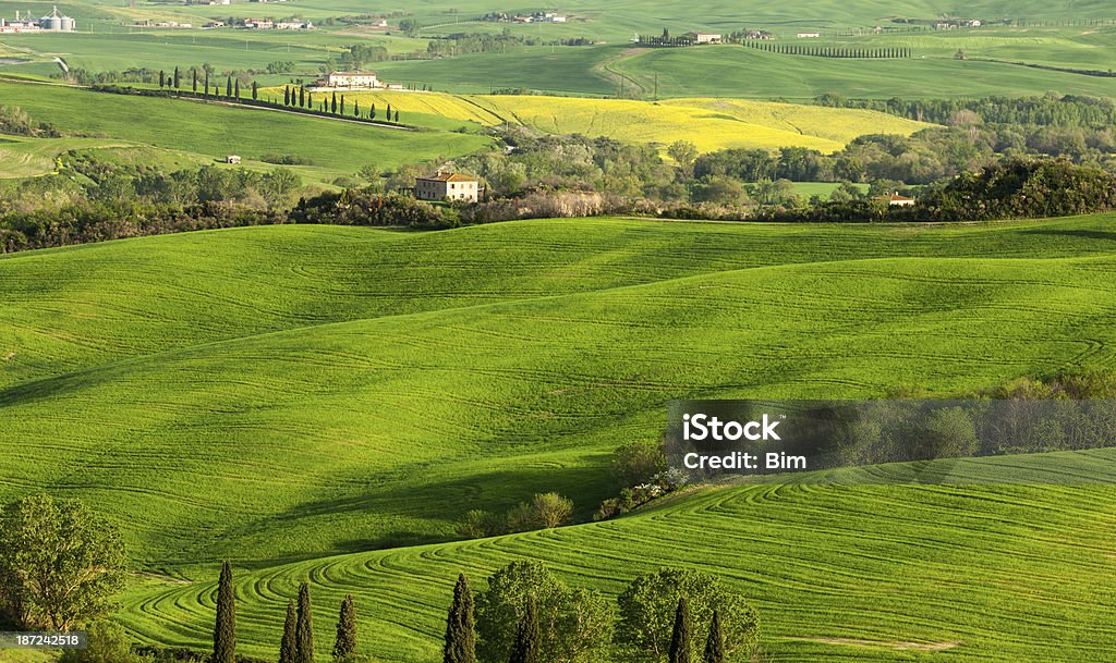 Ondulante paisaje de Toscana, Italia - Foto de stock de Agricultura libre de derechos